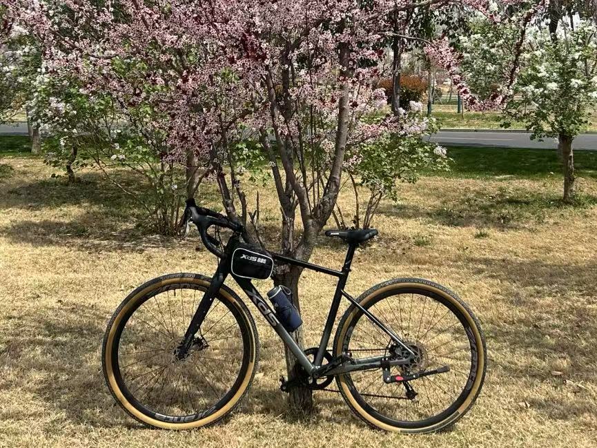 图片去外星球了